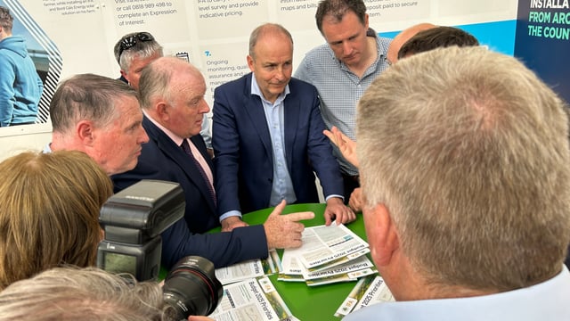 Tánaiste: Budget 2025 will be 'farmer friendly'