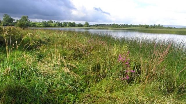 Agriculture the 'principal cause' of pollution in Lough Erne