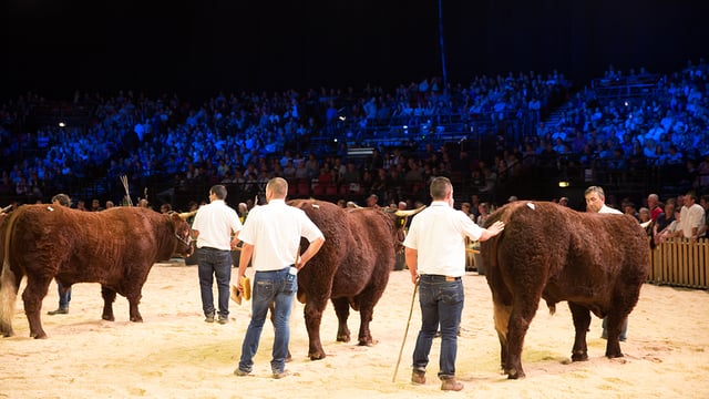 Major French agri-show 'Sommet' kicks off this week
