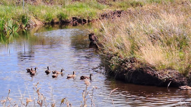 NARGC recognised with European biodiversity award