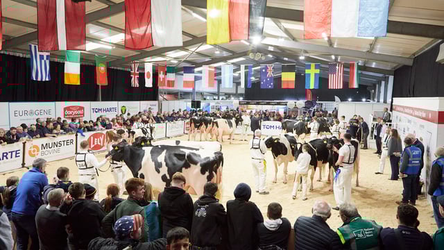 Judge announced for AXA National Dairy Show 2024