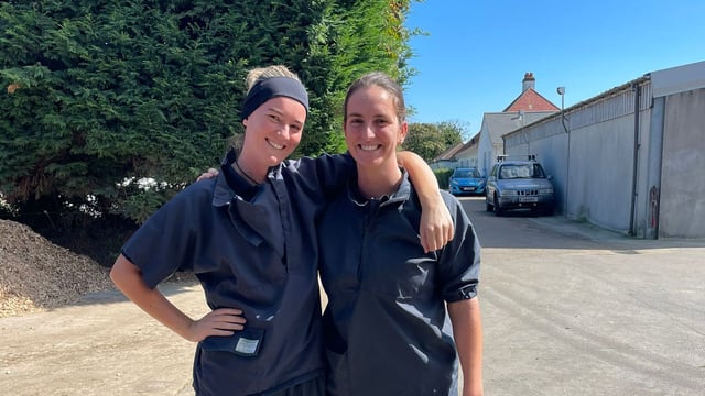 Best friends and Irish vets shed light on idyllic Jersey life