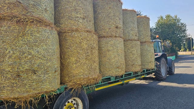 Kilkenny gardaí stop tractor and trailer with unsecured bales