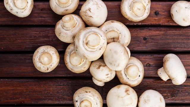 Research officer sought to support commercial mushroom sector