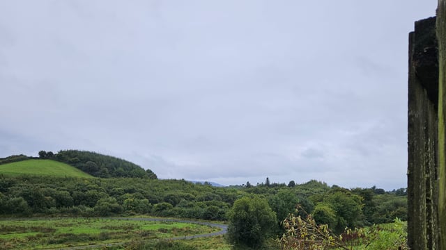 Land seized in Clare after investigation into organised criminal gang