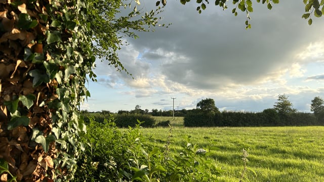 Farmers reminded that RZLT deadline is fast approaching