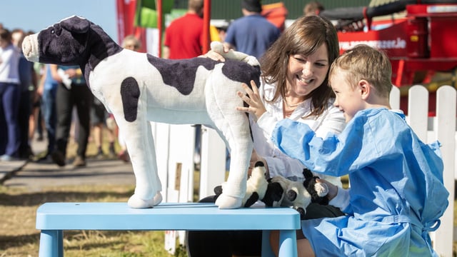 VCI welcomes 80 new places in veterinary medicine