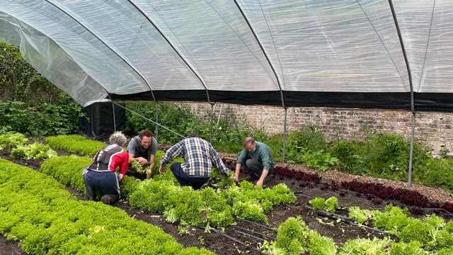 Turning over a new leaf in a natural approach to growing food