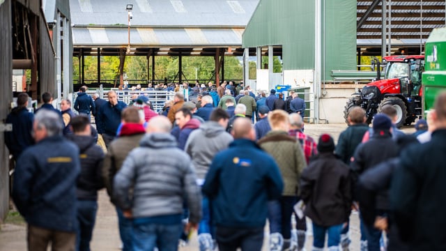 Foyle Farm open day shares interesting tips and advice