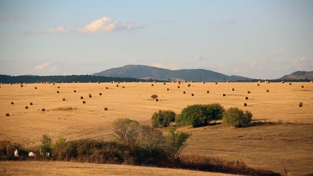 Bulgarian farmers to receive over €168m in EU support