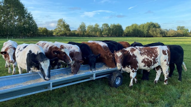Factory quotes: Up to 10c/kg added to base price this week