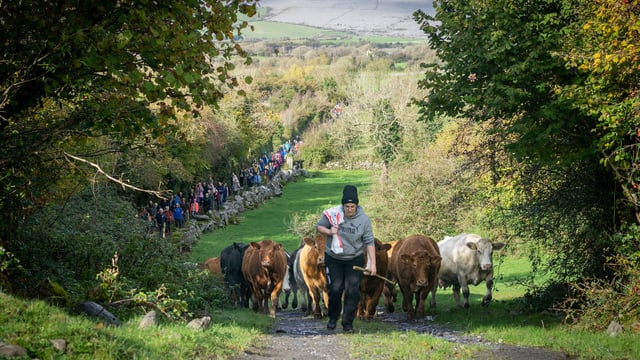 Celebration of the Burren's special landscape returns