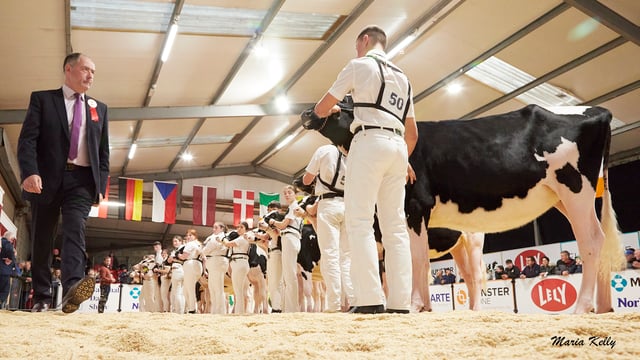 Competitors to travel length of country for AXA National Dairy Show