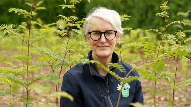 Documentary follows transformation from farm to forest in Roscommon