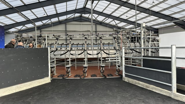 Dairy Focus: Milking 500 cows on two milking platforms