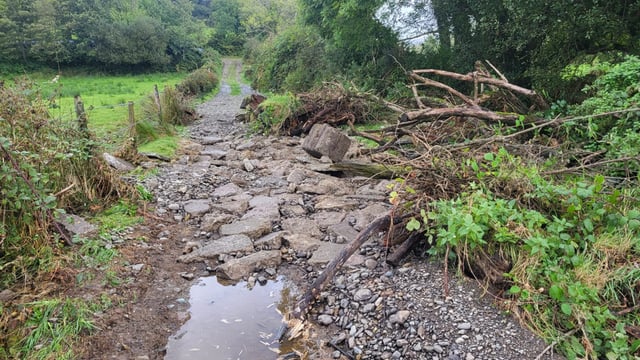 Watch: Flooding leaves west Cork farmer counting the cost