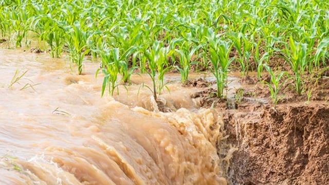 €1bn EU support for farmers affected by 'natural disaster' in Italy
