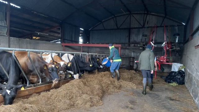 Five open days for Social Farming Ireland's Awareness Week