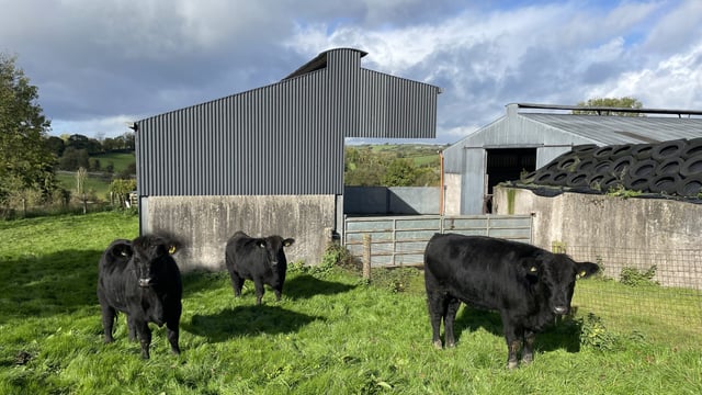Factory quotes: More breed-specific price rises this week
