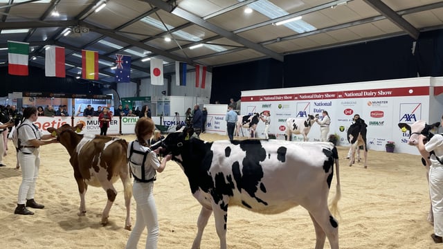 Watch: AXA National Dairy Show kicks off in Cork