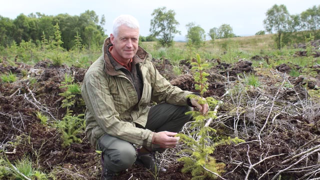 1st Forestry Expansion Scheme offers issued for 2024/2025 in NI