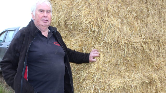 Importer: Straw and hay should be sold on a weight basis