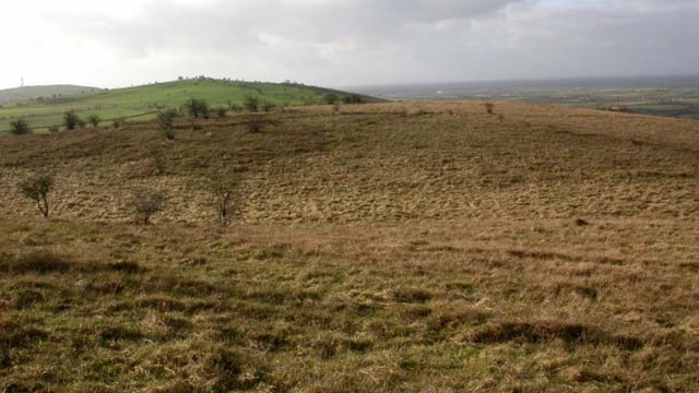 State to buy 165ac of Kilkenny farmland for new nature reserve