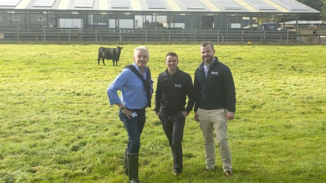 O’Leary invests €140,000 in solar panels at Gigginstown estate