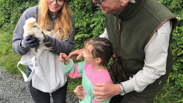 NI farmer and owl conservationist slams 'ludicrous' EFS