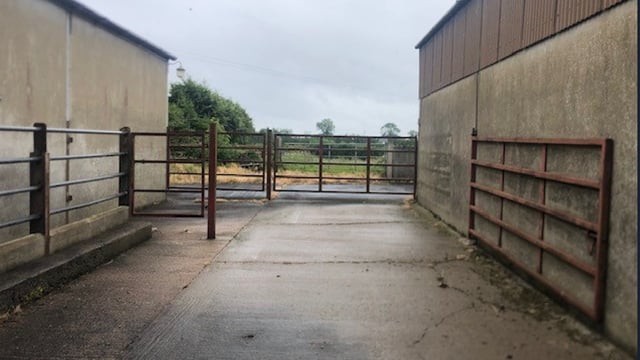 Budget 2025: Farmer 'income volatility' measure under discussion