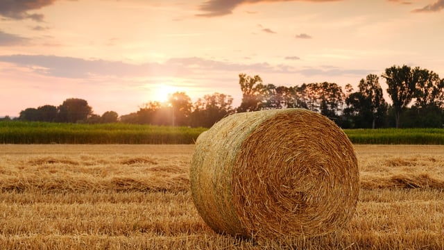 Met Éireann: Last month was the coldest September in 6 years
