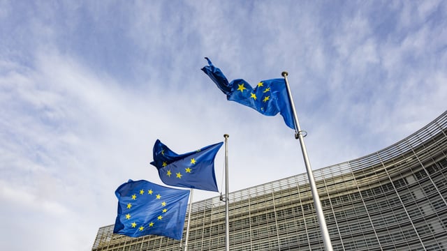 Irish MEP: CAP budget must be increased and simplified