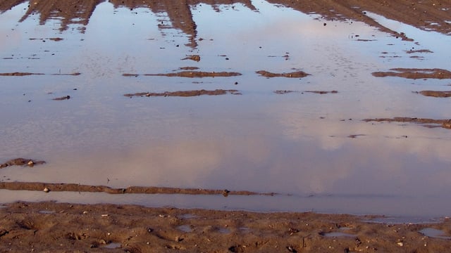 Minister: Payments 'not commenced' to farmers impacted by Cooley flooding