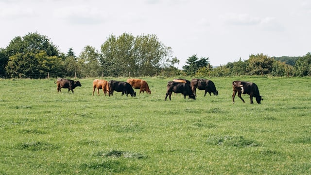 Tenders sought for cross border network of farming communities
