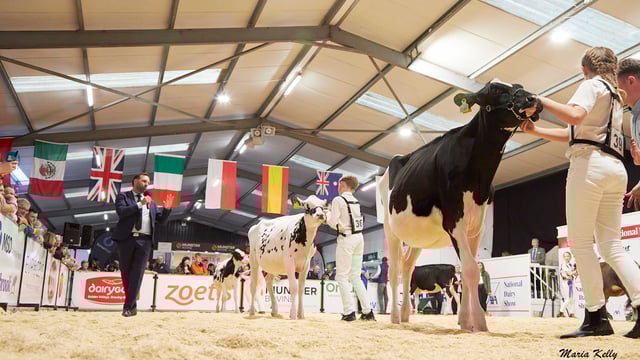 Watch: Dreams come to fruition at the AXA National Dairy Show