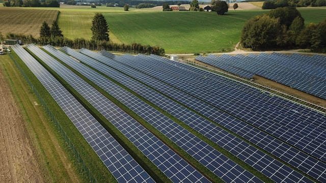 Many believe solar farms 'contributing' to TB increase - TD tells Dáil