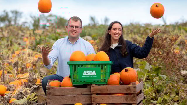 Growing pumpkins for the Halloween market in Armagh
