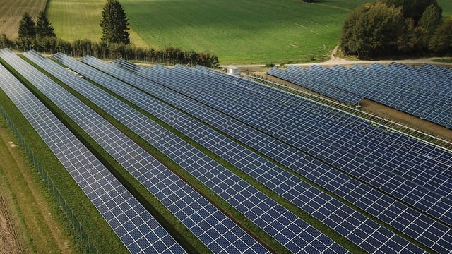 East Cork farmers 'selling dairy farms' for solar development - TD