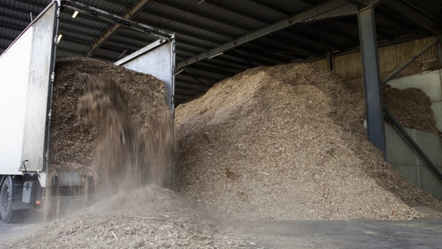 Key milestone reached in project to map biomass