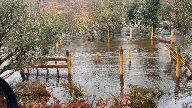 Havoc wrought in Kerry as Storm Bert floods sheep farm