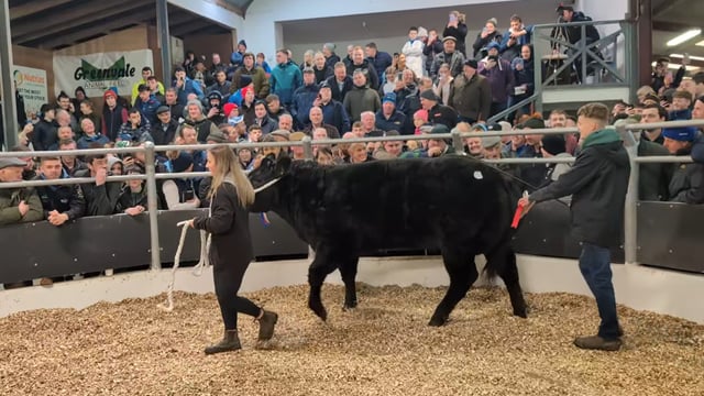 Hundreds of farmers flock to Day 1 of Carrick Winter Fair