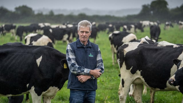 ICMSA calls for milk price increase after 'mini rally' in markets