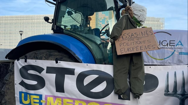 Farmers in Brussels 'demand an end' to EU-Mercosur free trade deal