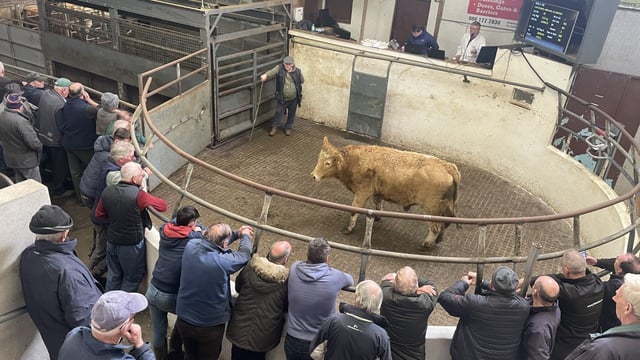 Mart Report: Fiery trade ramps up at Granard Mart