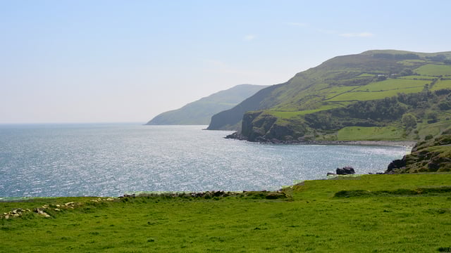Ireland climbs 14 places on Climate Change Performance Index