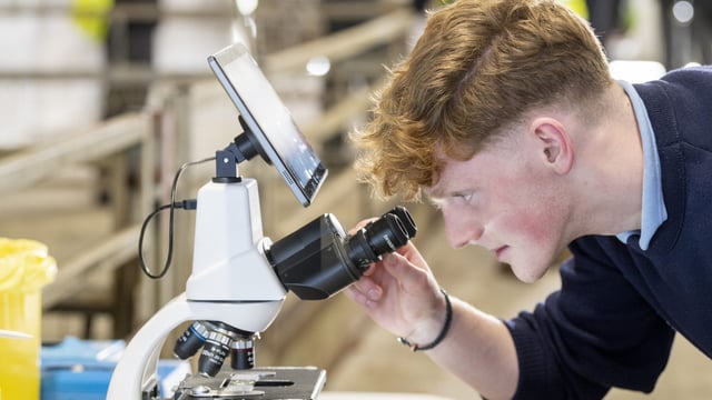 Teagasc unveils Science Week 2024 programme