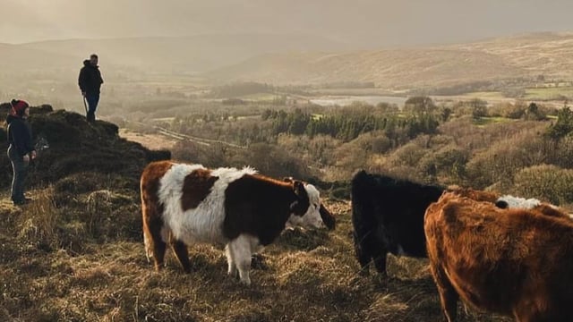 Donegal farmers hold events to share experience on restoring land
