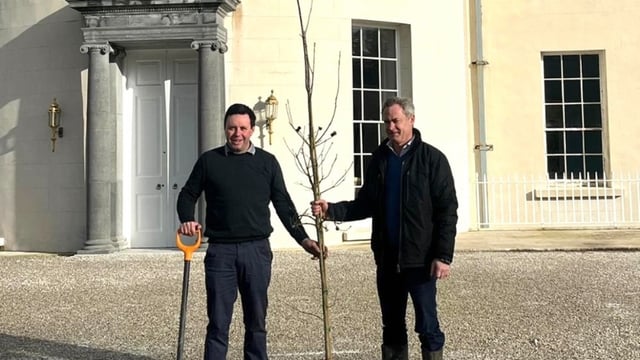 Volunteers donate 35,000 native trees nationwide