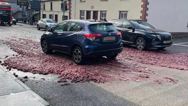 Council commended after clean up of poultry waste spill in Monaghan