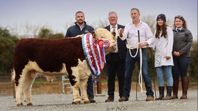 Results and winners from National Hereford Calf Show